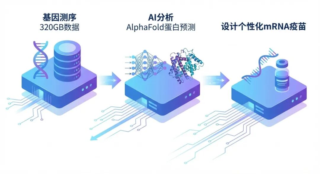 AI驱动的个性化癌症疫苗研发流程示意图